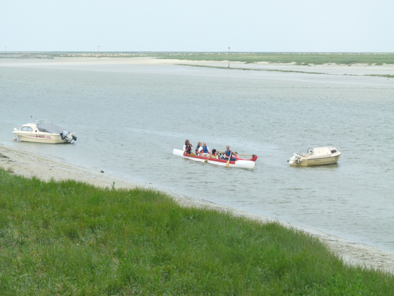 Les courses de canoës kayaks en Baie de Somme
